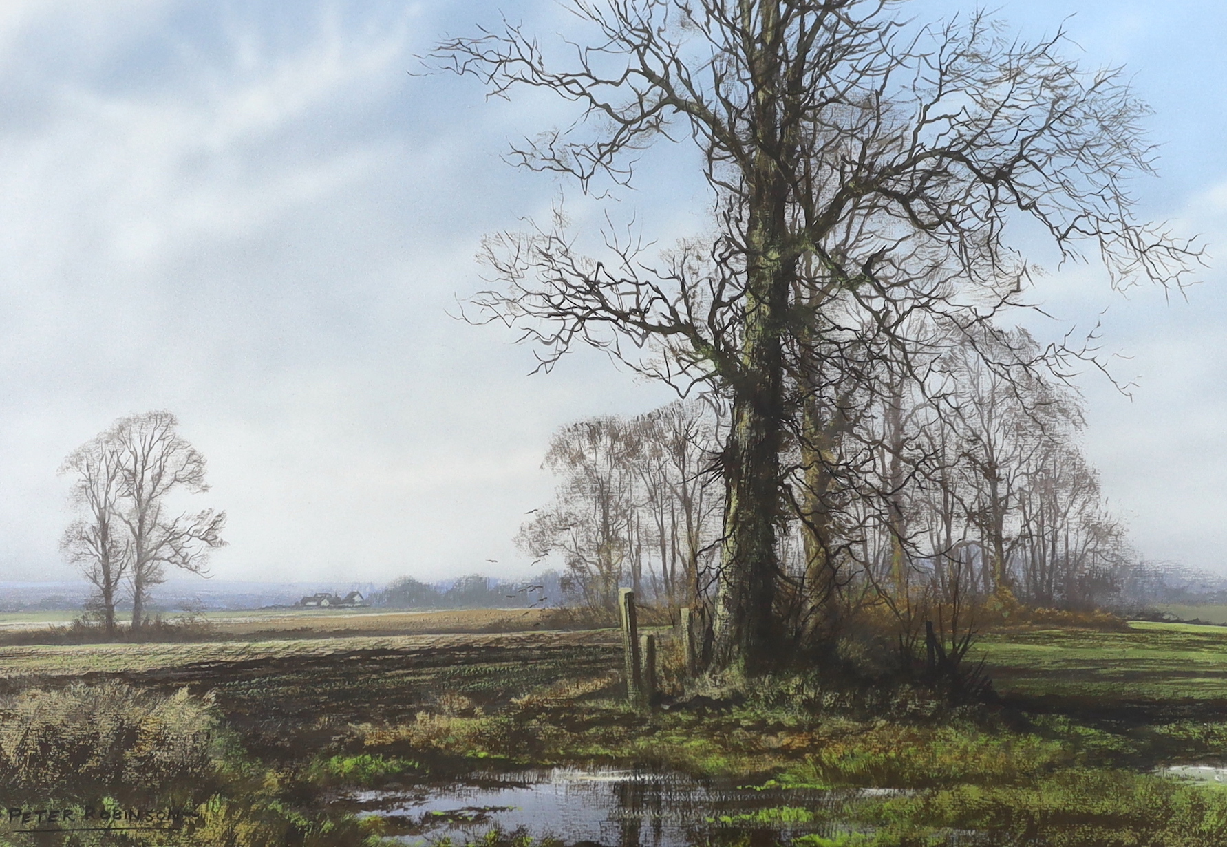 Peter Robinson (20th. C), two gouaches, River landscape with birds in flight and rural landscape, each signed, largest 27 x 38cm